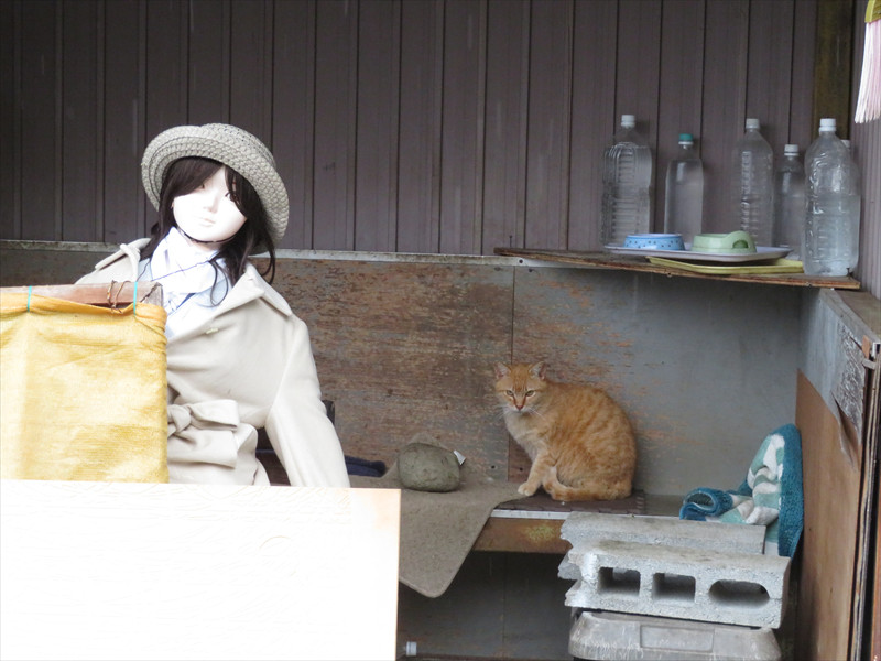 いなべ市藤原町鼎 案山子 かかし　猫