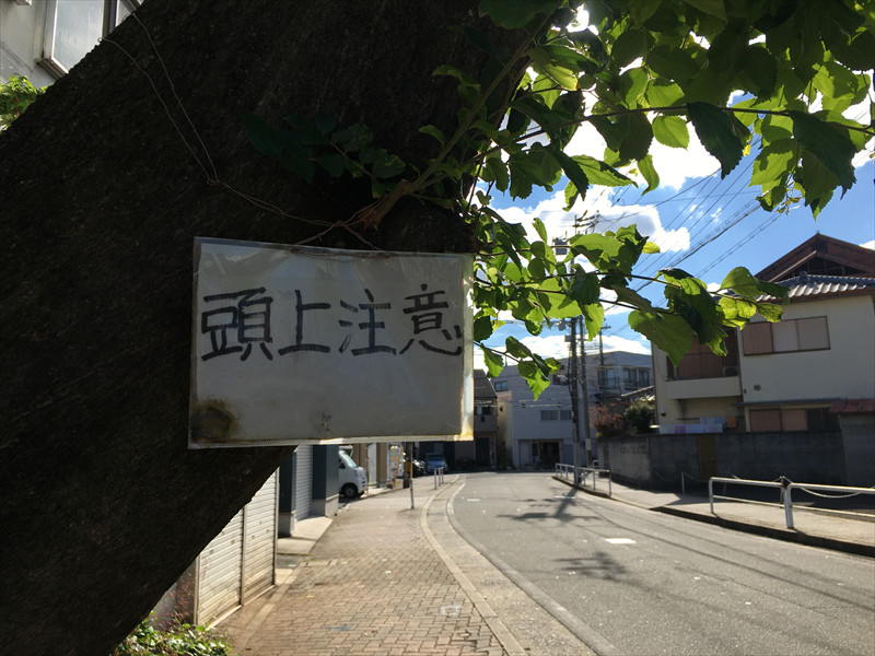 頭上注意
