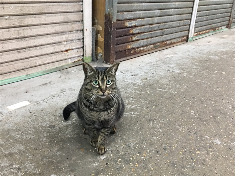 垂水廉売市場