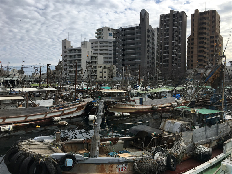 明石港