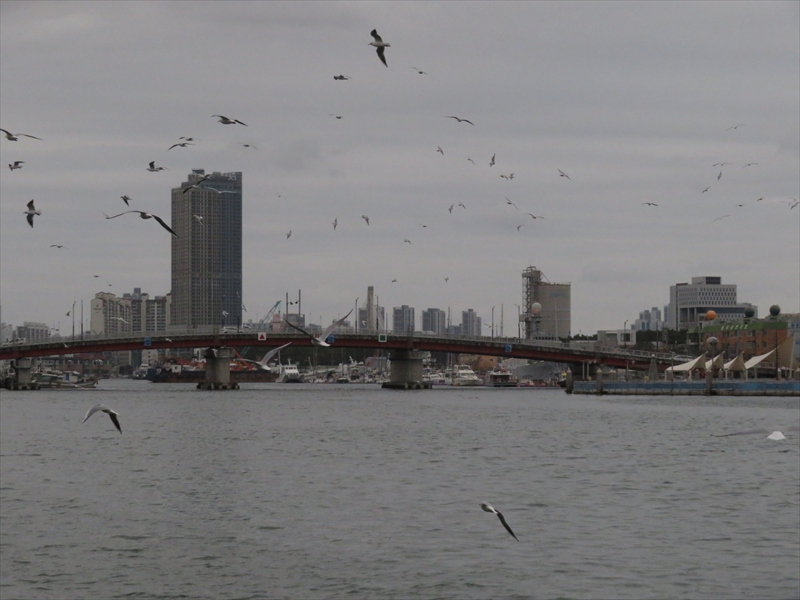 浦項港