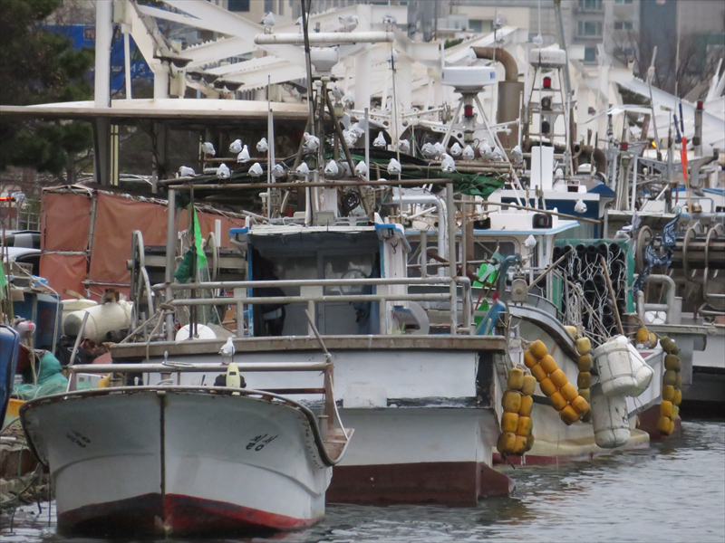 浦項漁港