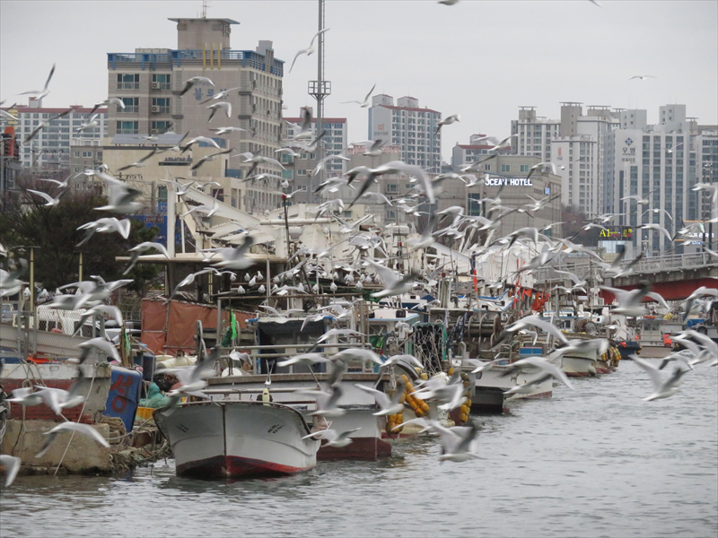 浦項港