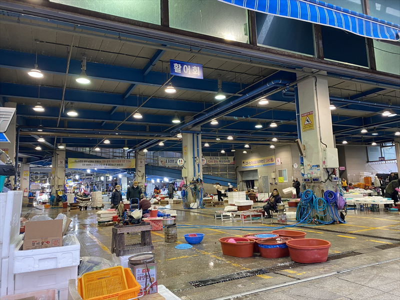浦項水産市場