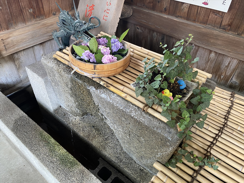 寝屋川 八坂神社 花手水