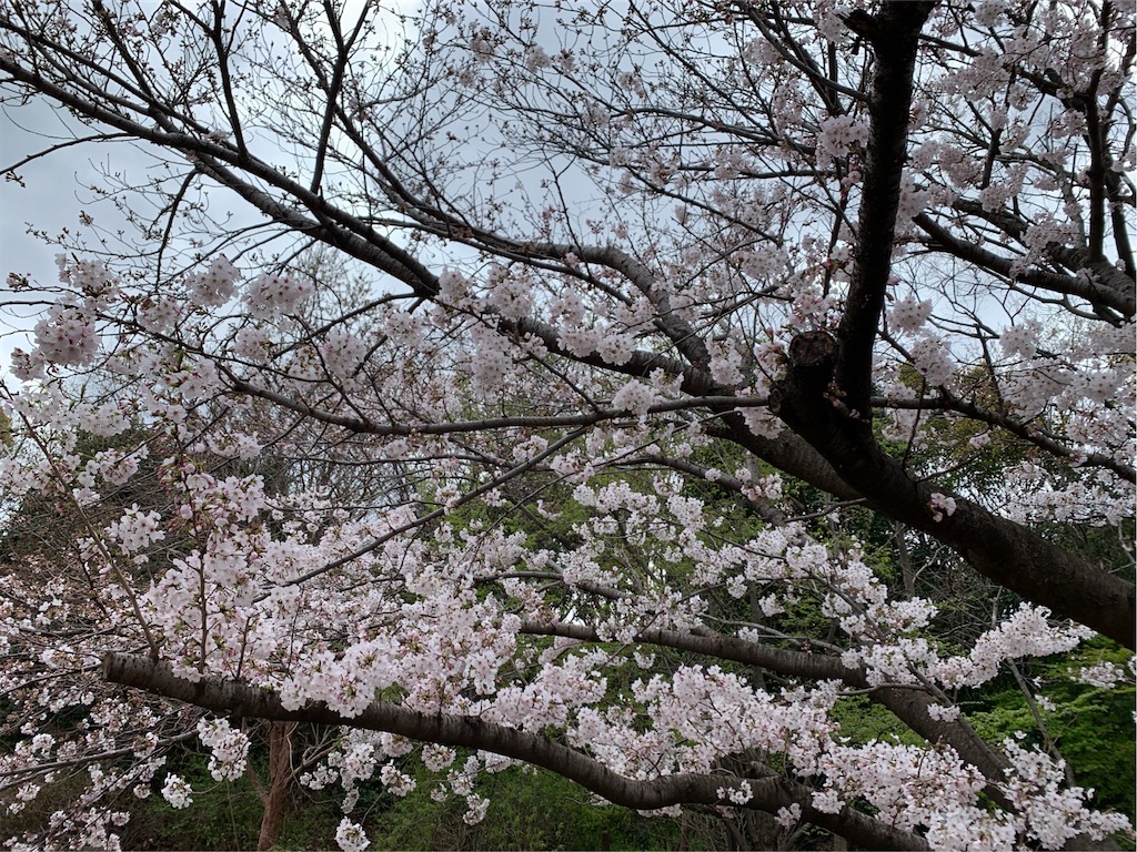 f:id:tantanutakey:20200329164518j:image f:id:tantanutakey:20200329164518j:image