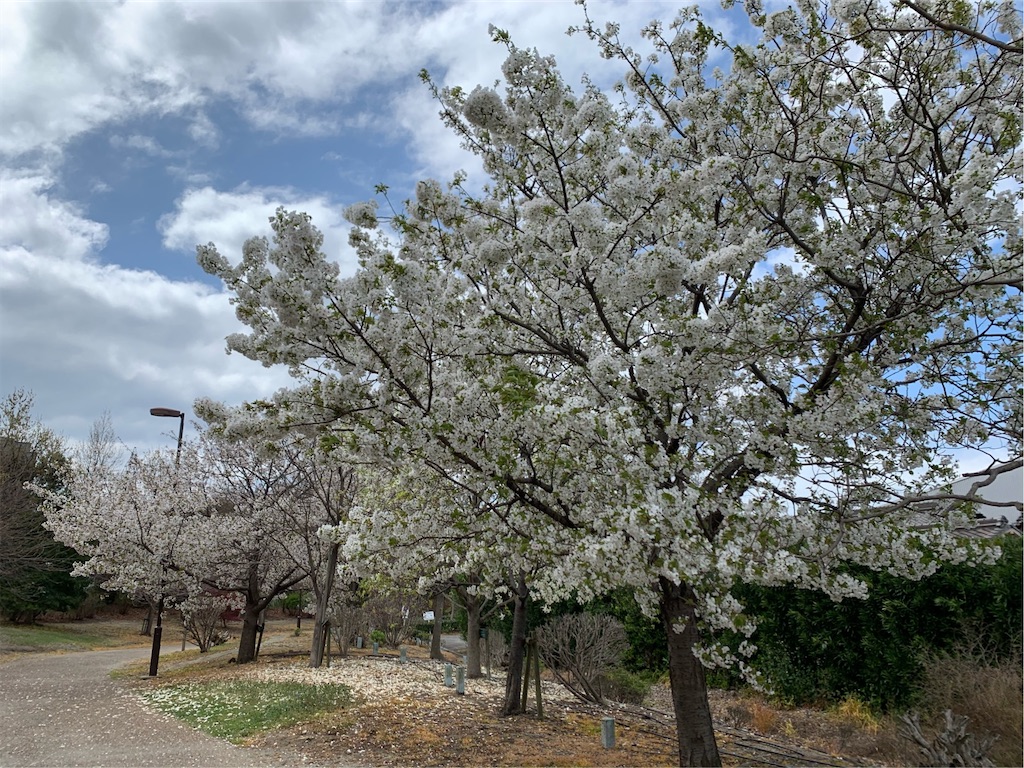 f:id:tantanutakey:20200329164522j:image f:id:tantanutakey:20200329164522j:image