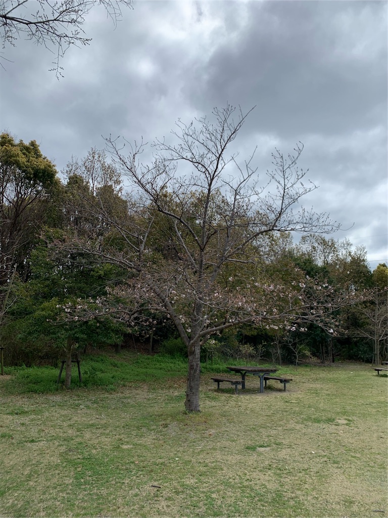 f:id:tantanutakey:20200329164537j:image f:id:tantanutakey:20200329164537j:image