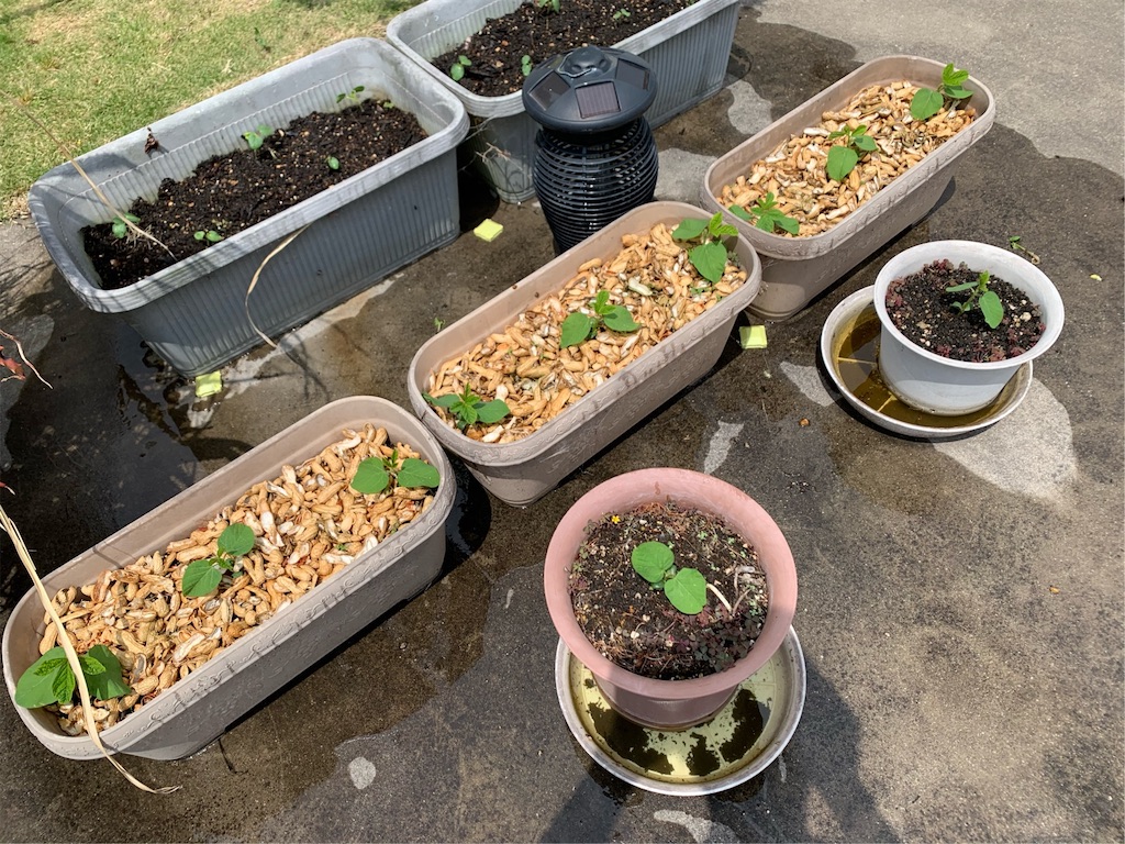 f:id:tantanutakey:20200510183323j:image