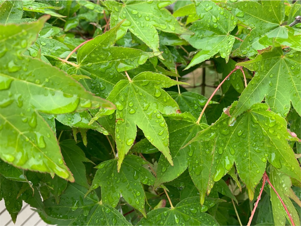 f:id:tantanutakey:20200517103524j:image