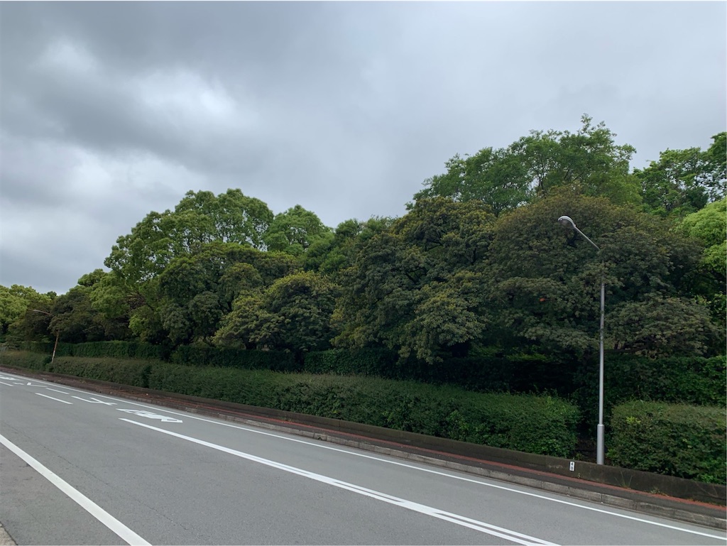 f:id:tantanutakey:20200517103832j:image