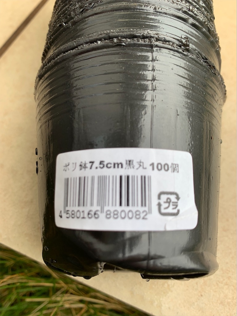 f:id:tantanutakey:20200613165611j:image f:id:tantanutakey:20200613165611j:image