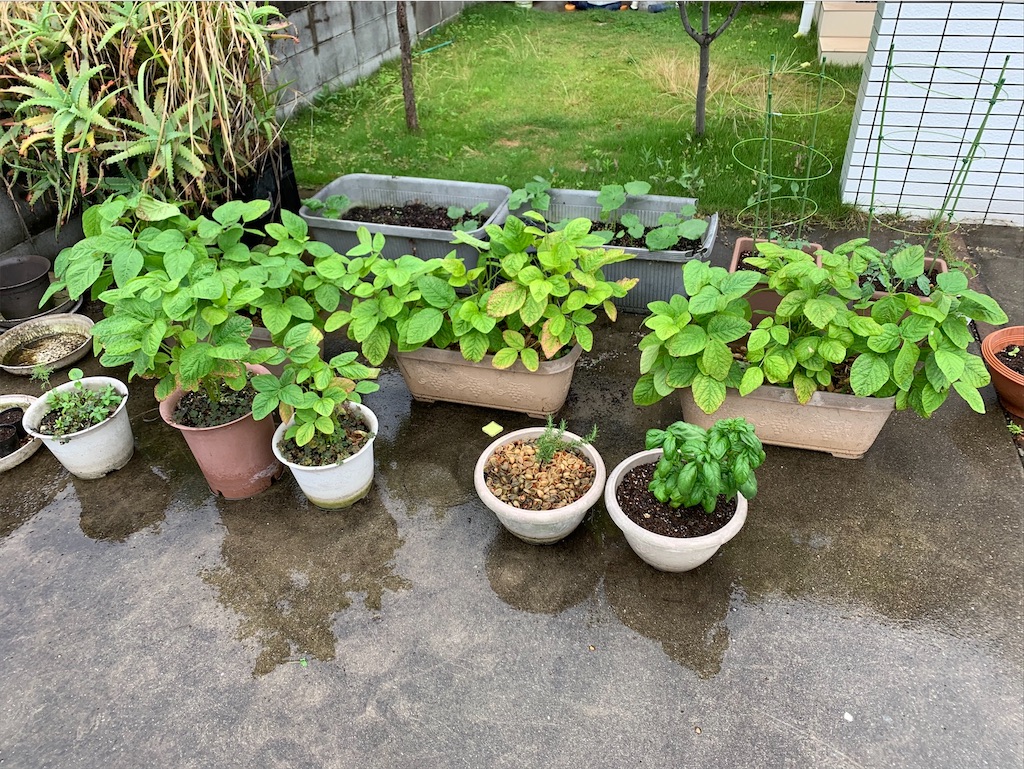 f:id:tantanutakey:20200613165738j:image f:id:tantanutakey:20200613165738j:image