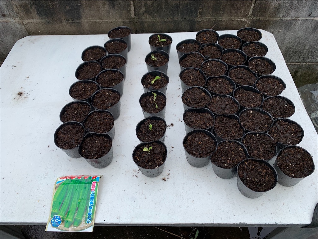 f:id:tantanutakey:20200613165742j:image f:id:tantanutakey:20200613165742j:image