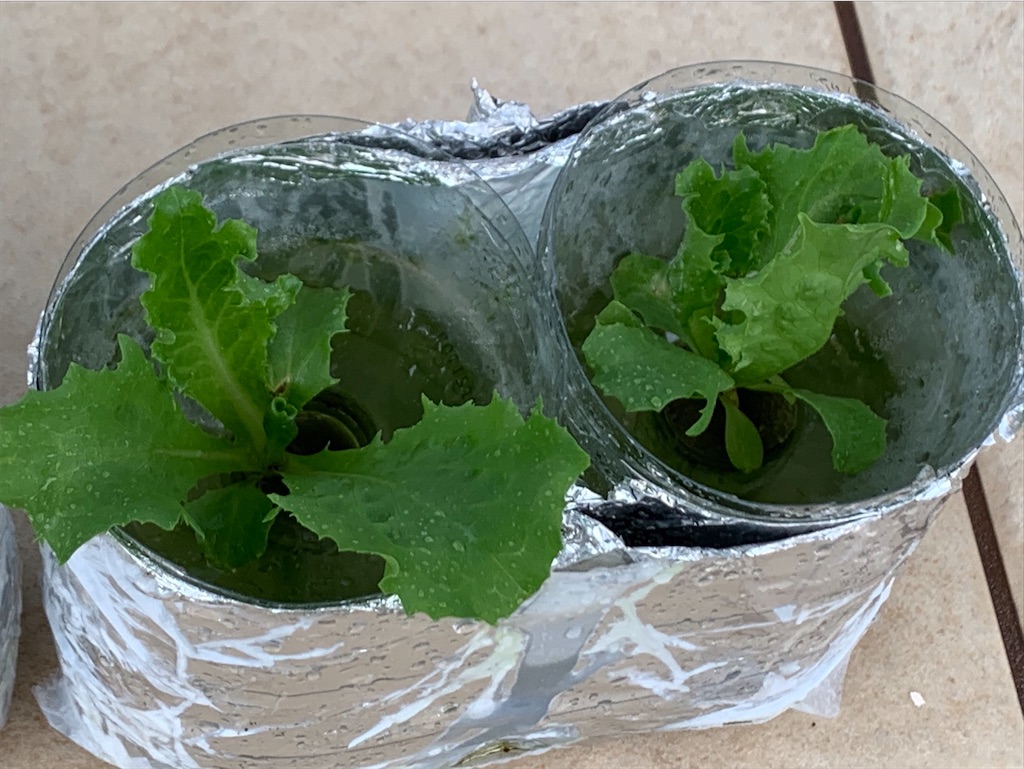 f:id:tantanutakey:20200613165745j:image f:id:tantanutakey:20200613165745j:image