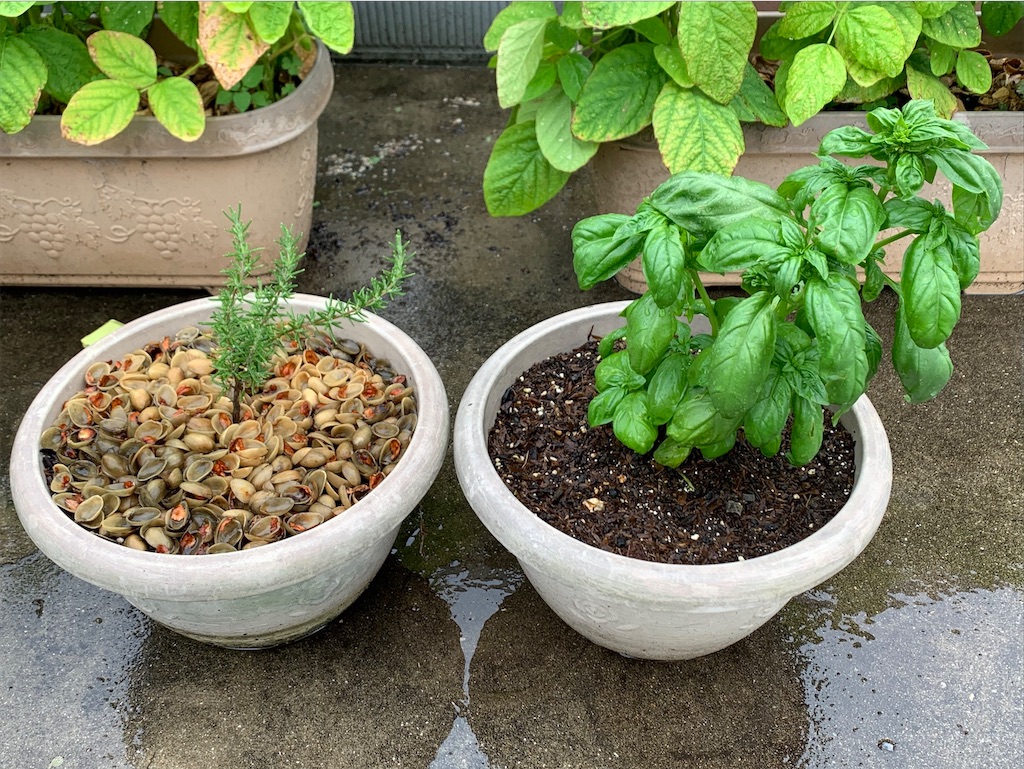 f:id:tantanutakey:20200613165802j:image f:id:tantanutakey:20200613165802j:image