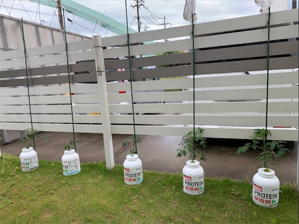 f:id:tantanutakey:20200613175514j:image f:id:tantanutakey:20200613175514j:image