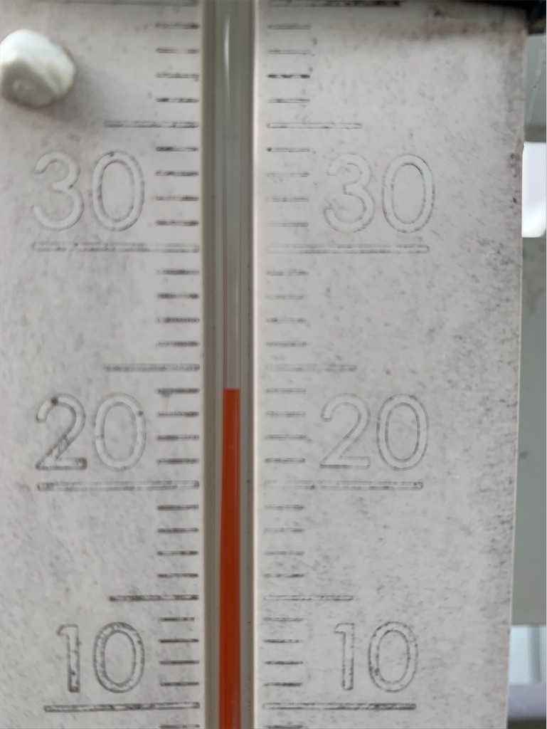 f:id:tantanutakey:20200620121745j:image f:id:tantanutakey:20200620121745j:image