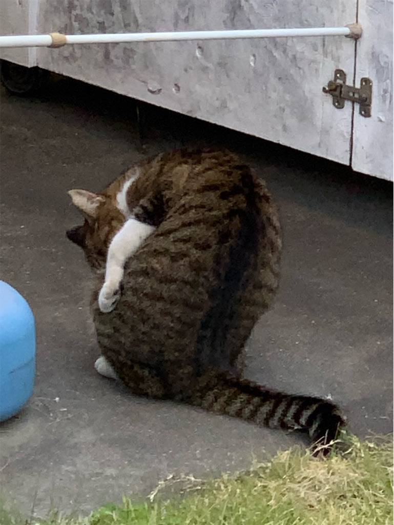 f:id:tantanutakey:20201114102926j:image f:id:tantanutakey:20201114102926j:image