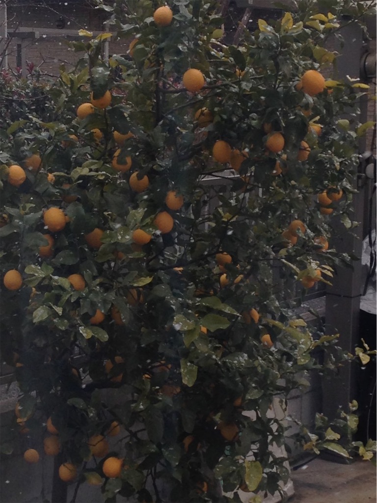 f:id:tantanutakey:20210116135410j:image