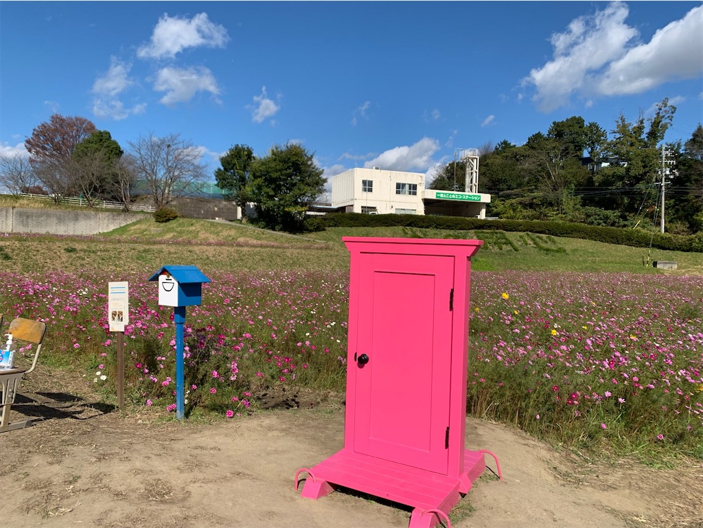 「どこでもドア」でお花畑にやって来た！ 村上隆 「どこでもドア」でお花畑にやってきた！ | 絵画など美術