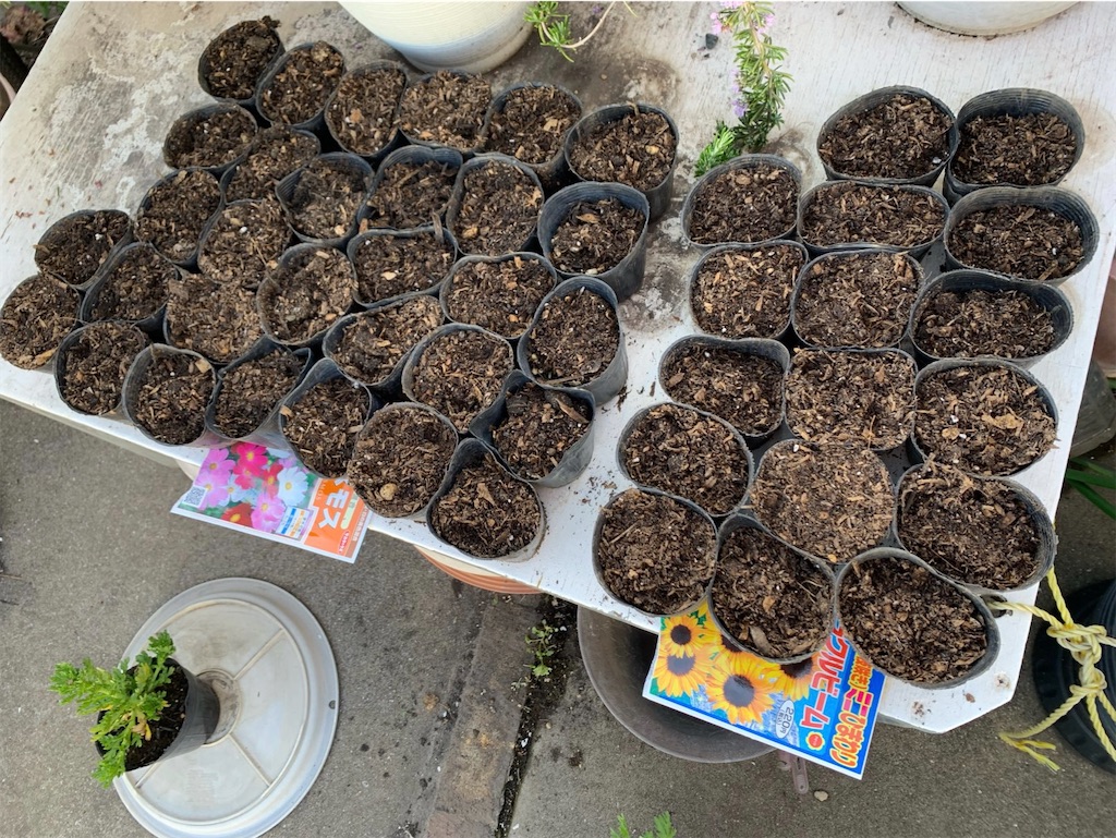 f:id:tantanutakey:20220327172504j:image f:id:tantanutakey:20220327172504j:image