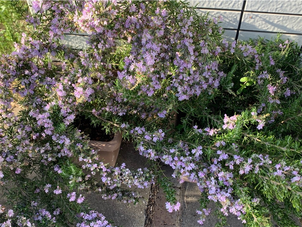 f:id:tantanutakey:20220327172511j:image f:id:tantanutakey:20220327172511j:image