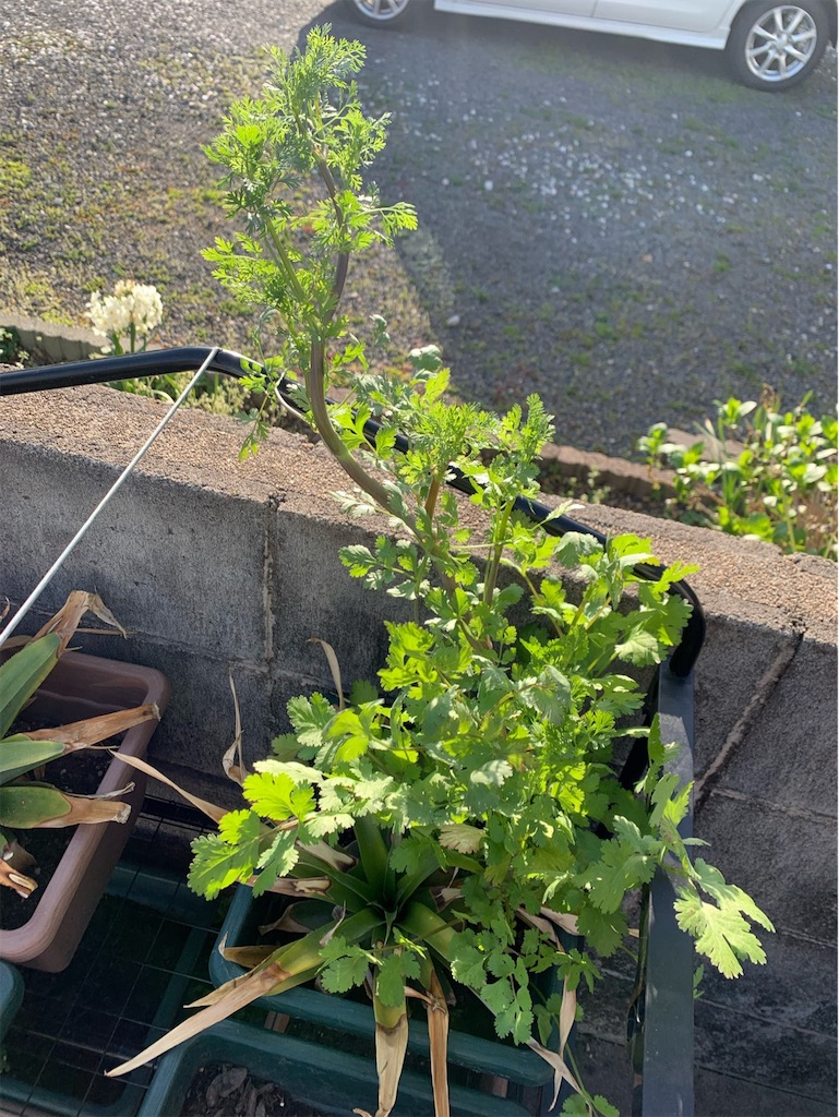 f:id:tantanutakey:20220327172516j:image f:id:tantanutakey:20220327172516j:image