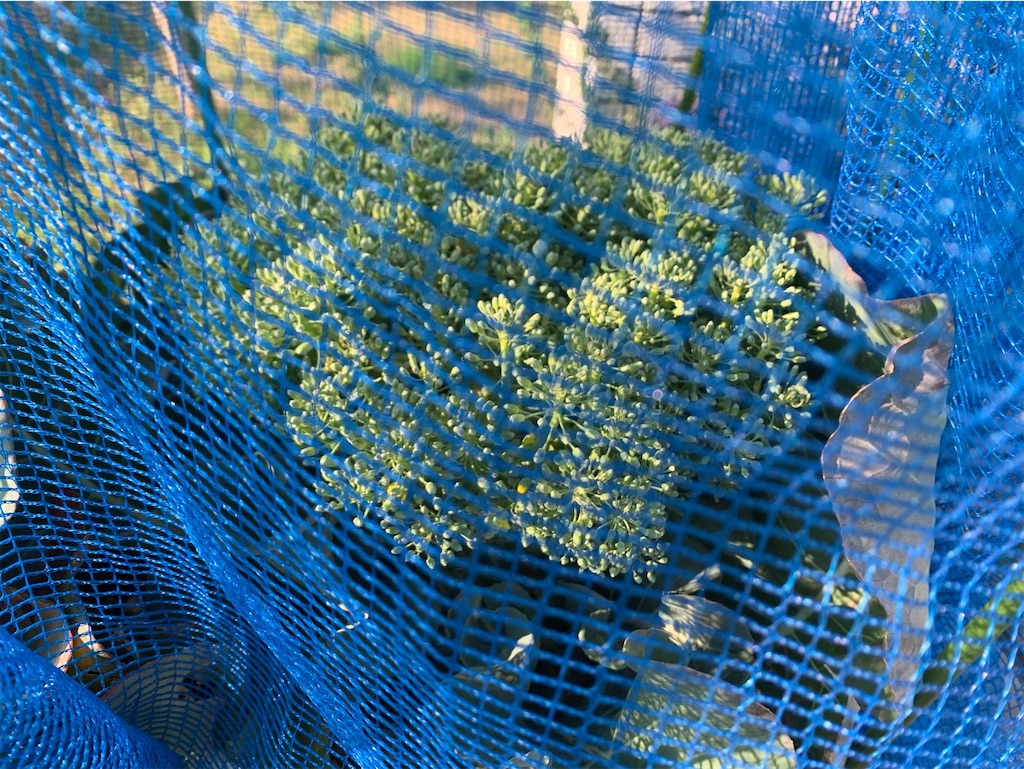 f:id:tantanutakey:20220327172519j:image f:id:tantanutakey:20220327172519j:image