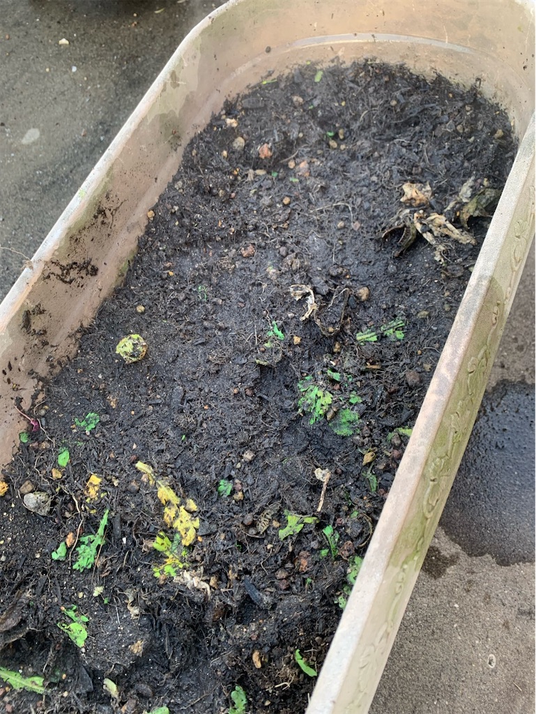 f:id:tantanutakey:20220327172522j:image f:id:tantanutakey:20220327172522j:image