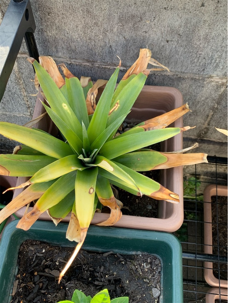 f:id:tantanutakey:20220327172536j:image f:id:tantanutakey:20220327172536j:image