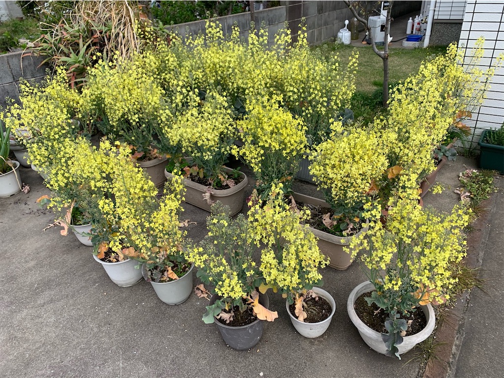 f:id:tantanutakey:20220327175717j:image f:id:tantanutakey:20220327175717j:image