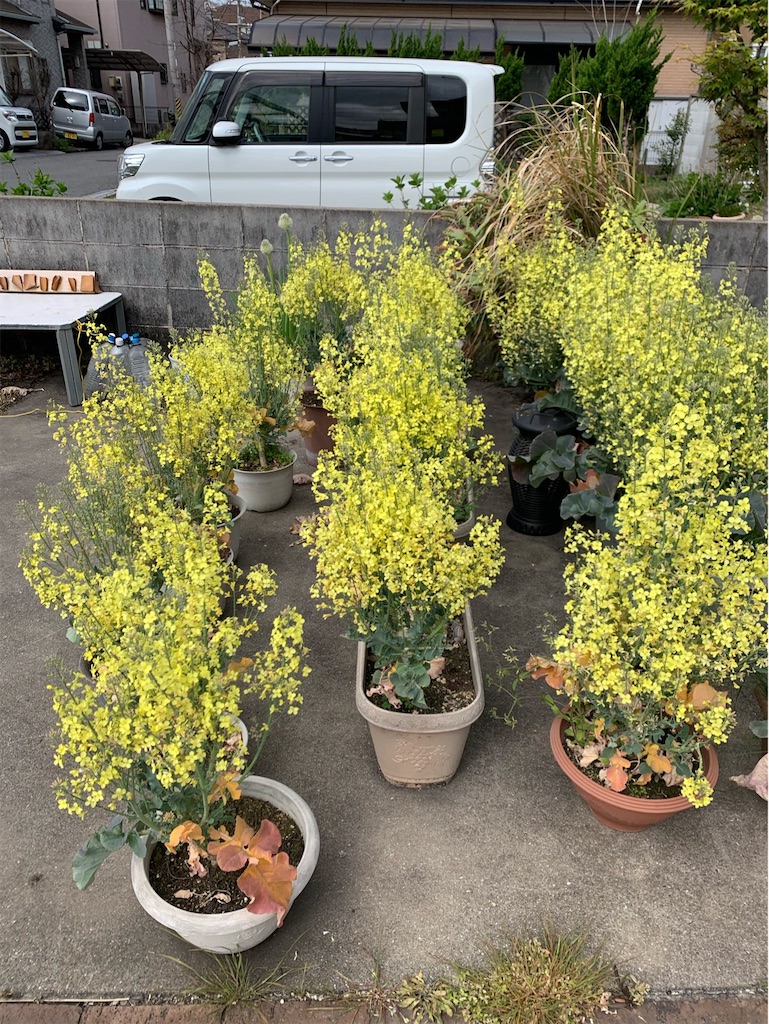 f:id:tantanutakey:20220327175725j:image f:id:tantanutakey:20220327175725j:image