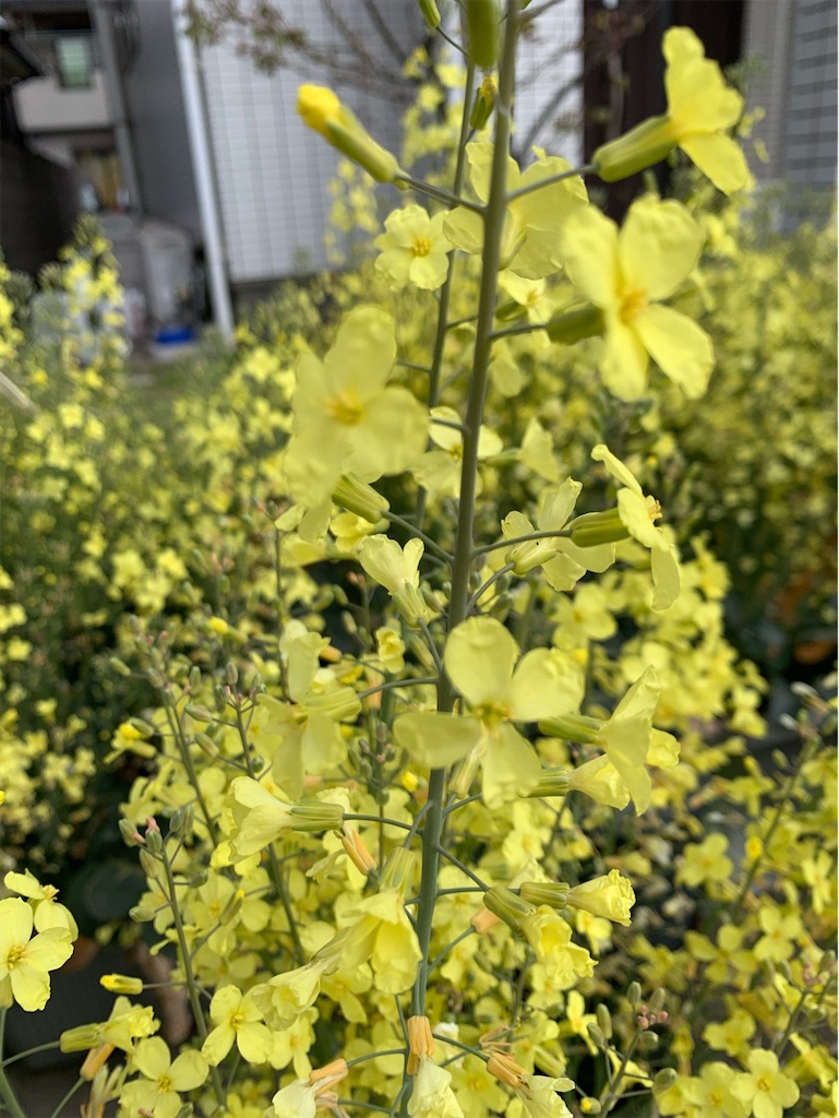 f:id:tantanutakey:20220327175728j:image f:id:tantanutakey:20220327175728j:image