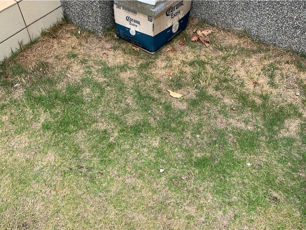 f:id:tantanutakey:20220515155439j:image