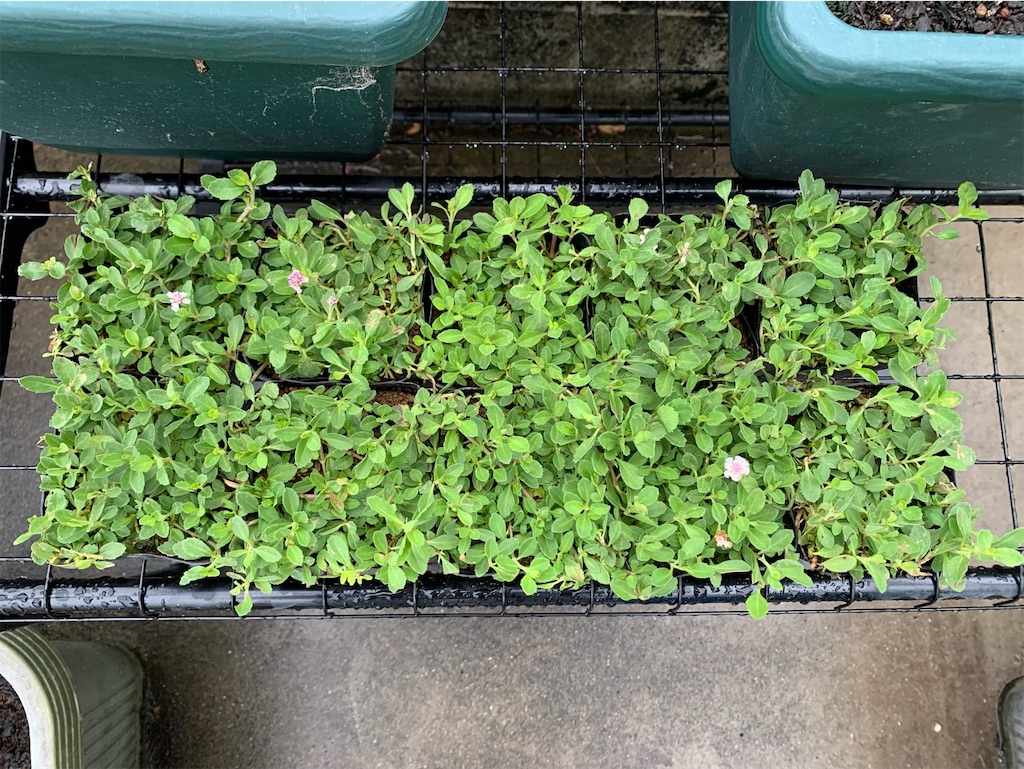 f:id:tantanutakey:20220515155452j:image