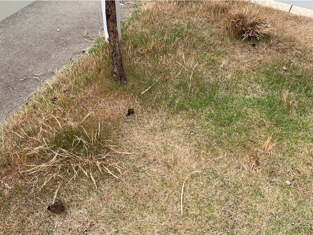 f:id:tantanutakey:20220515155454j:image