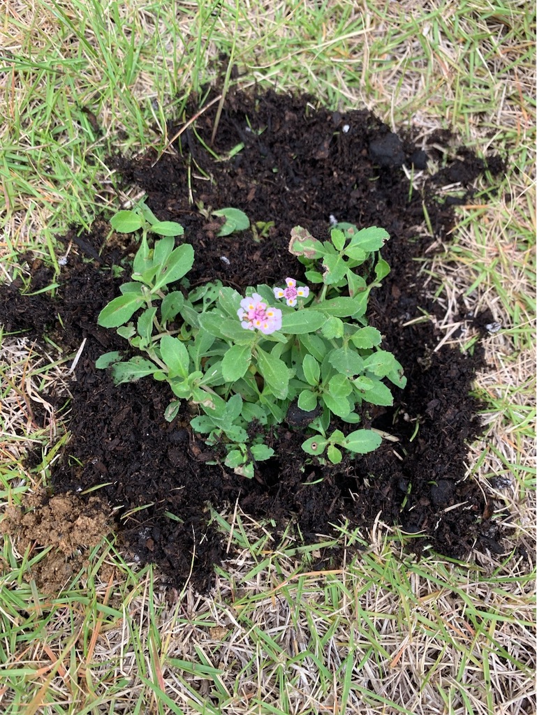 f:id:tantanutakey:20220515155506j:image