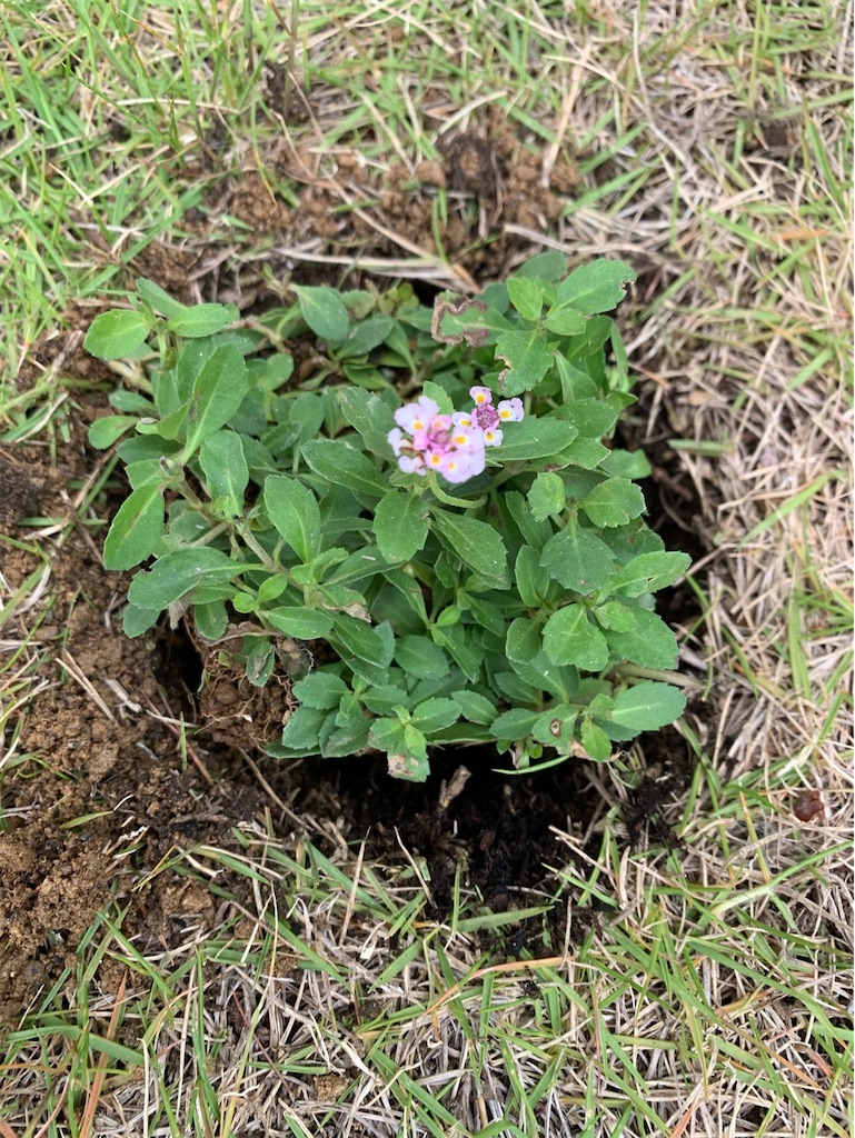 f:id:tantanutakey:20220515155509j:image