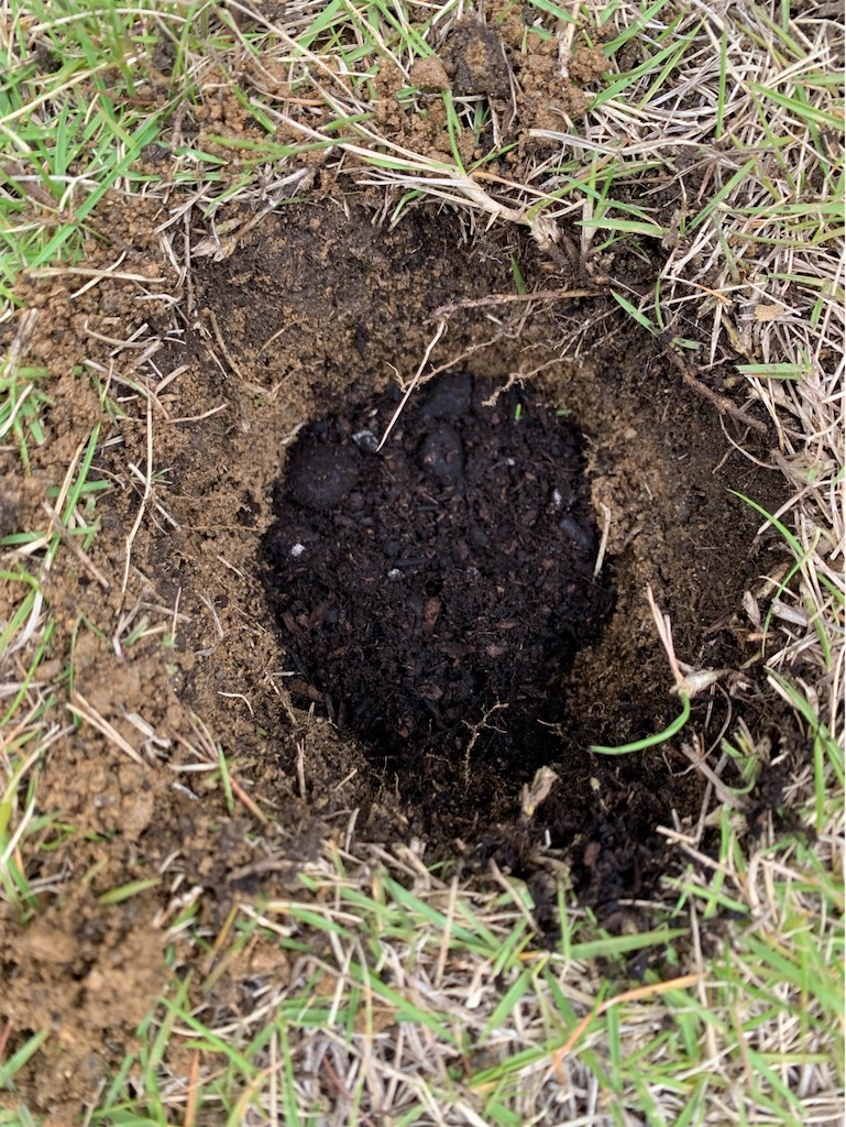 f:id:tantanutakey:20220515155517j:image