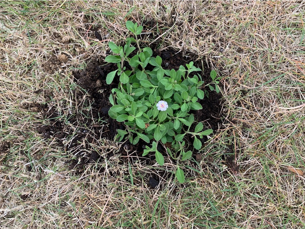 f:id:tantanutakey:20220515155520j:image