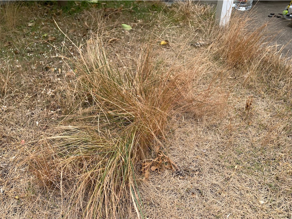 f:id:tantanutakey:20220515155523j:image