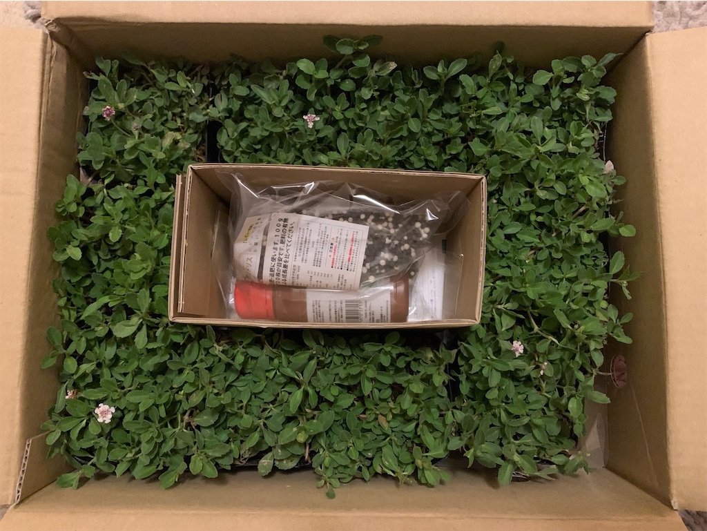 f:id:tantanutakey:20220515155546j:image