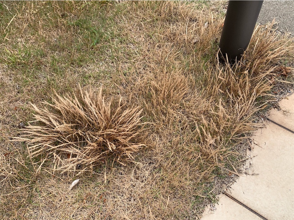 f:id:tantanutakey:20220515155549j:image