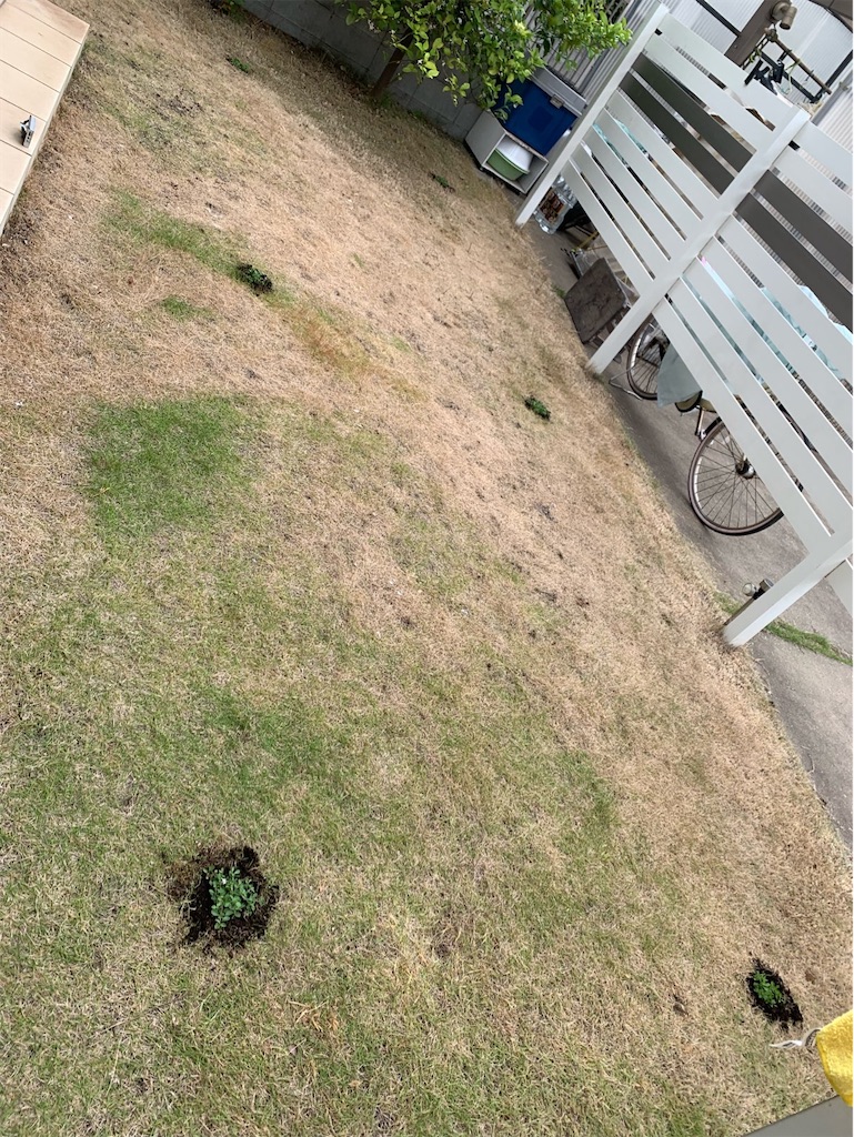 f:id:tantanutakey:20220515155608j:image