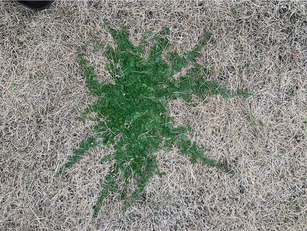 f:id:tantanutakey:20220618124838j:image