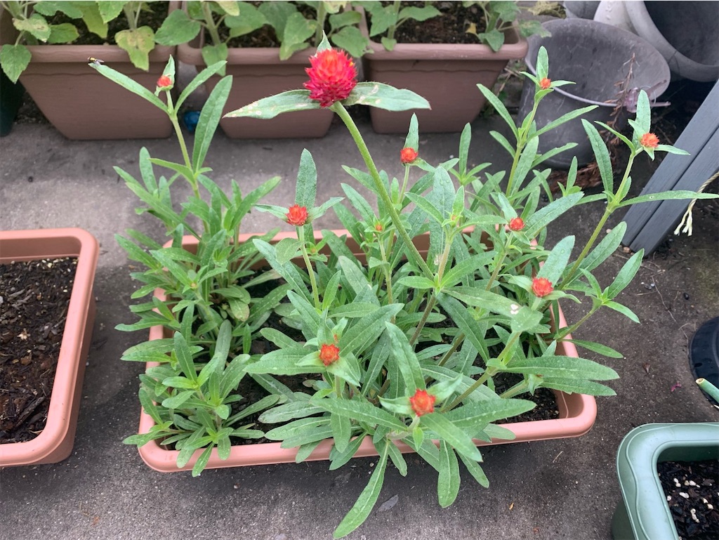 f:id:tantanutakey:20220618124840j:image