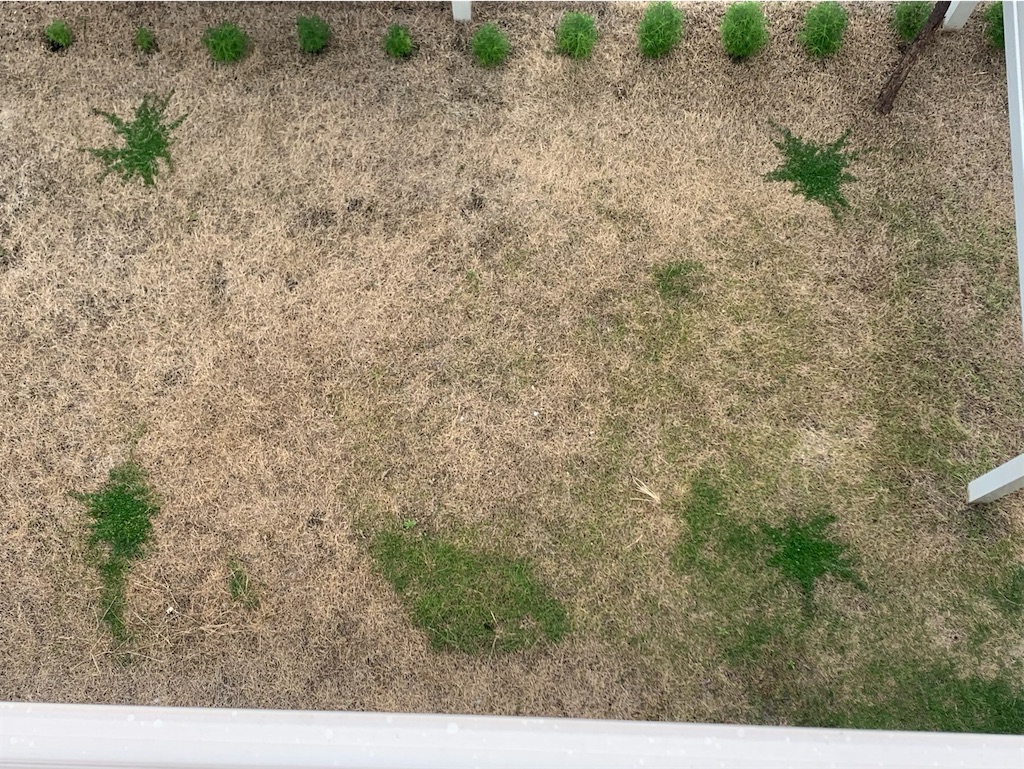 f:id:tantanutakey:20220618124843j:image