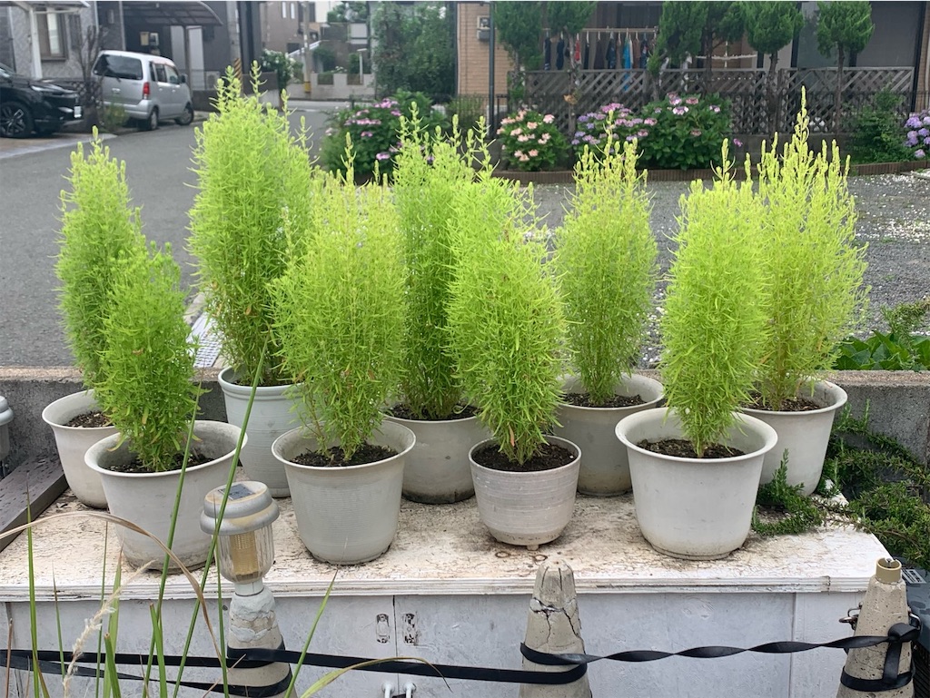 f:id:tantanutakey:20220618124849j:image