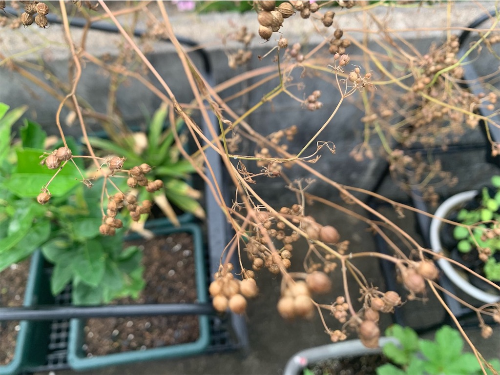 f:id:tantanutakey:20220618124921j:image